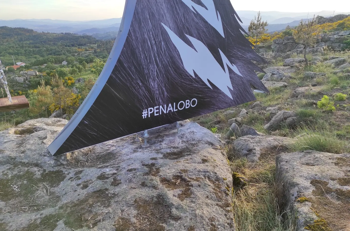 Baloico Penalobo 12