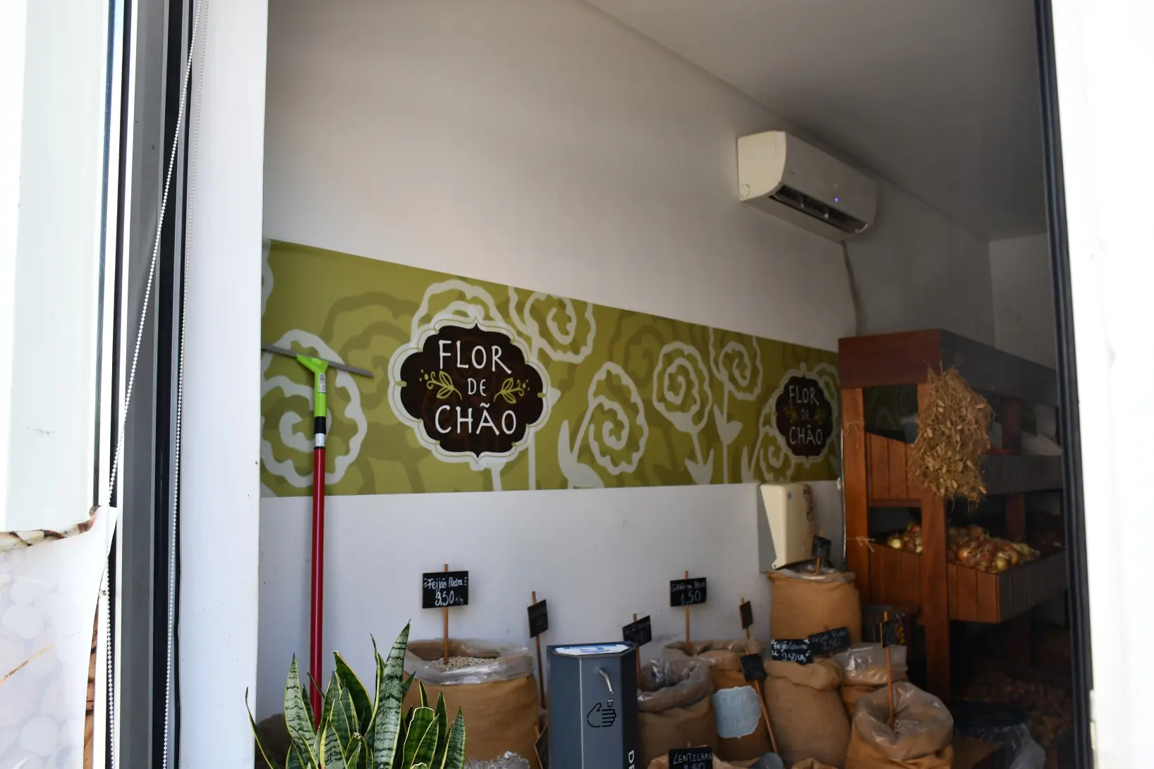Flor De Chao 04