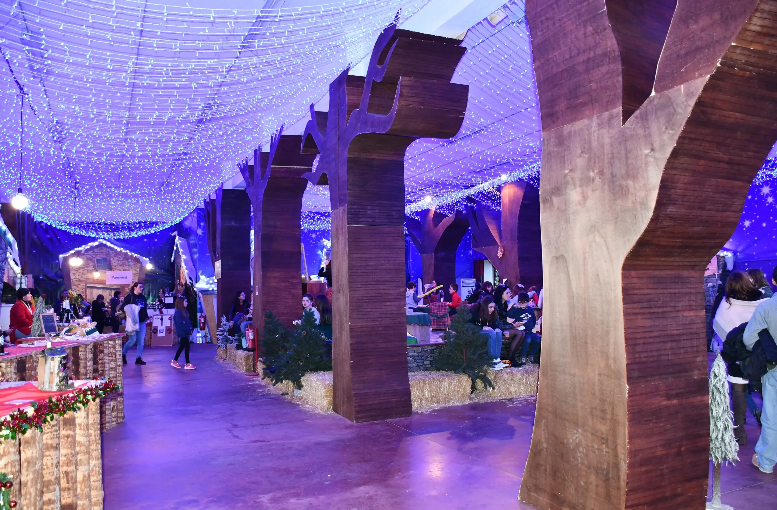 Natal Pampilhosa 01 05