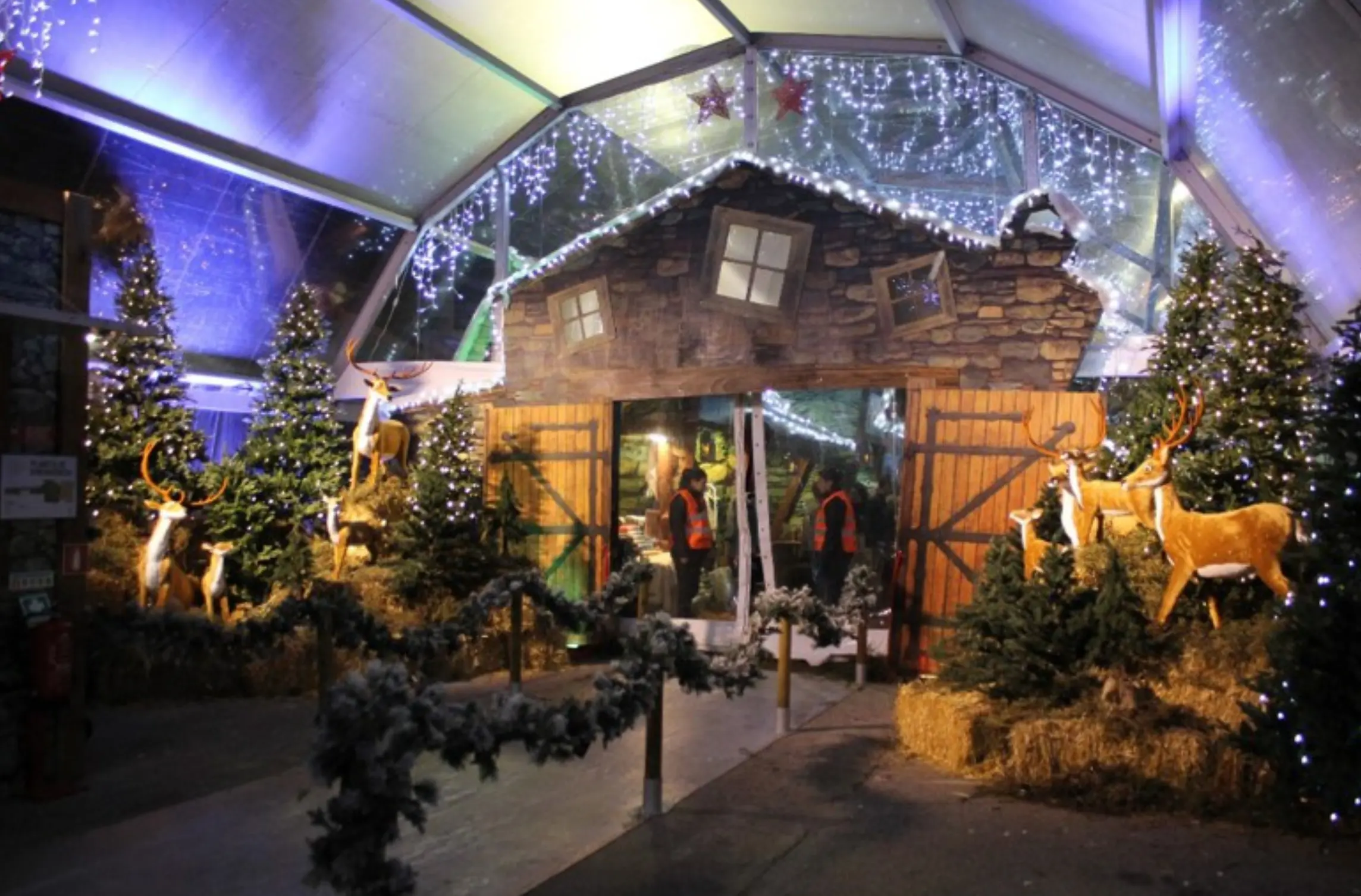 Natal Pampilhosa 02 04