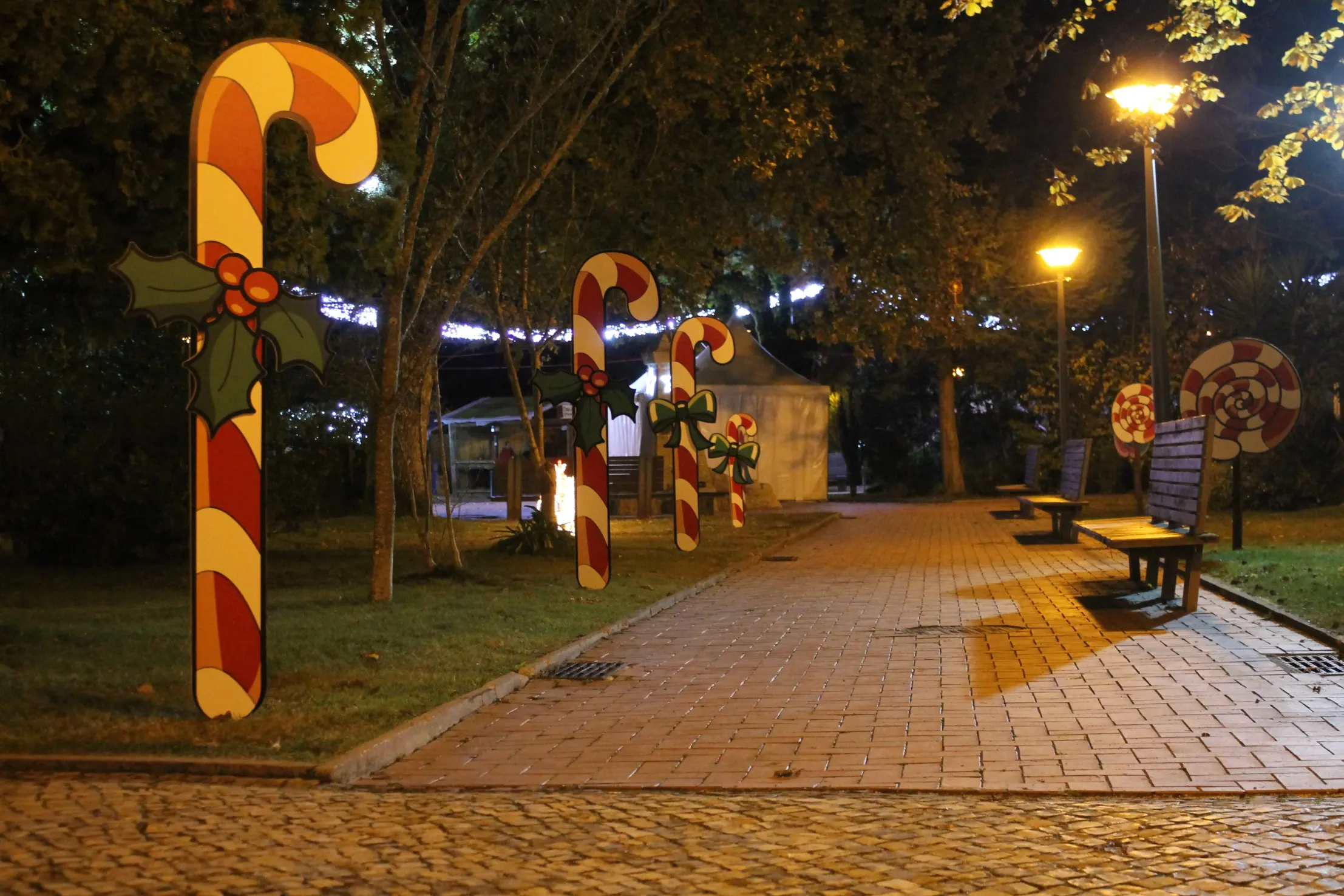 Natal Pedrogao 02 12