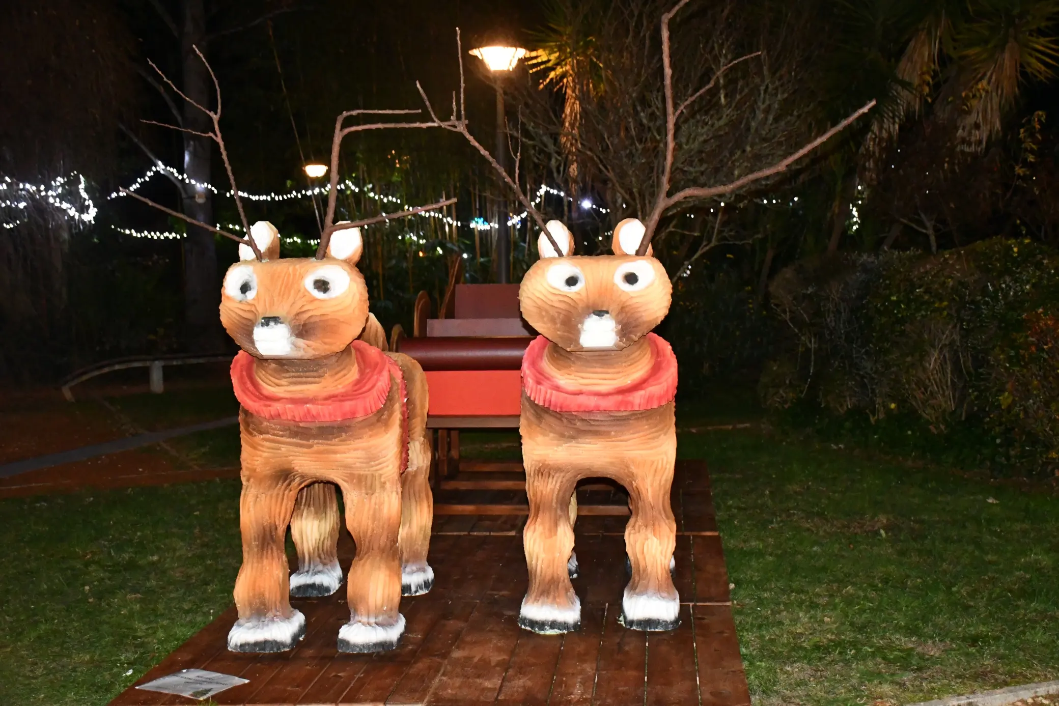 Natal Pedrogao 03 10