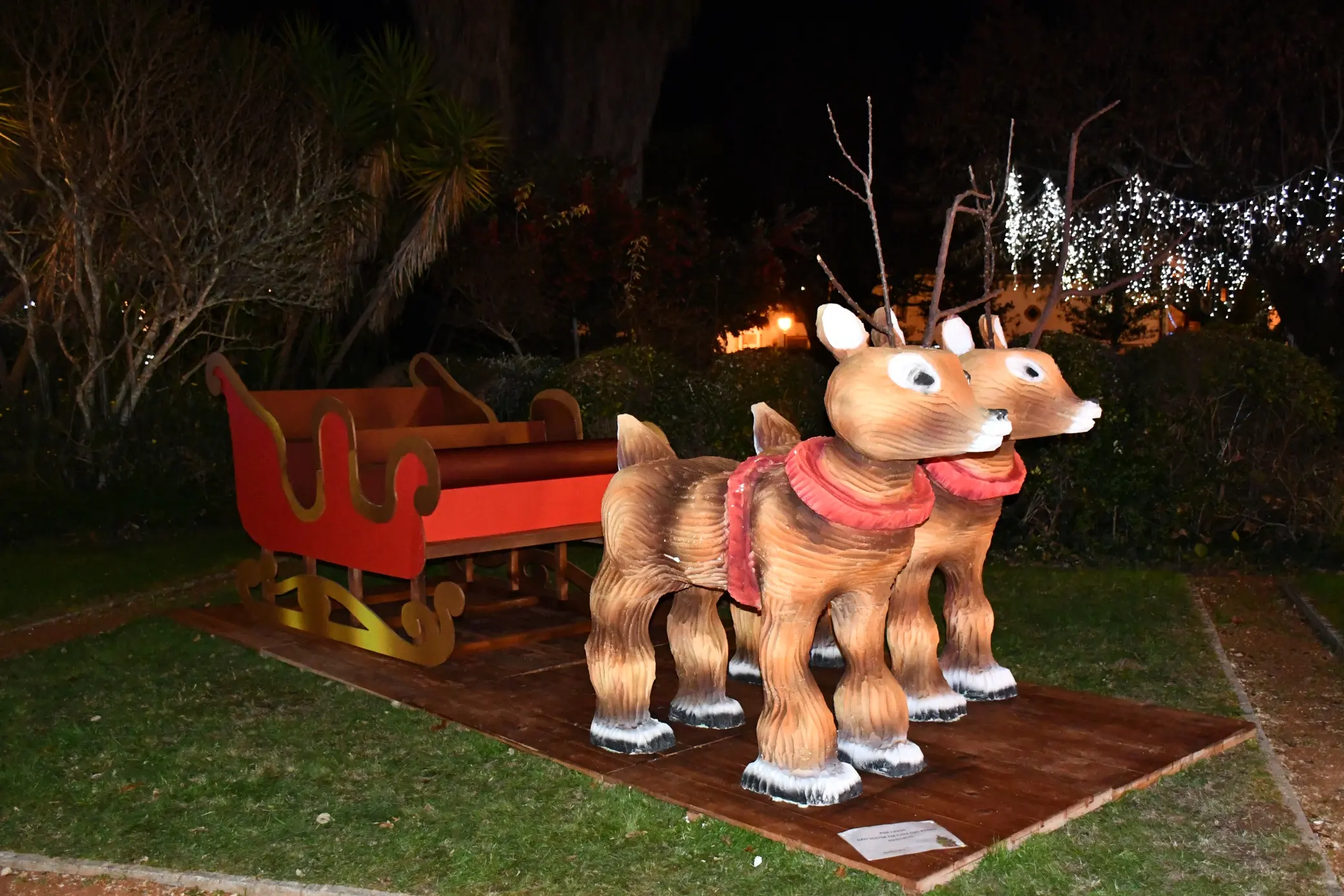Natal Pedrogao 03 11