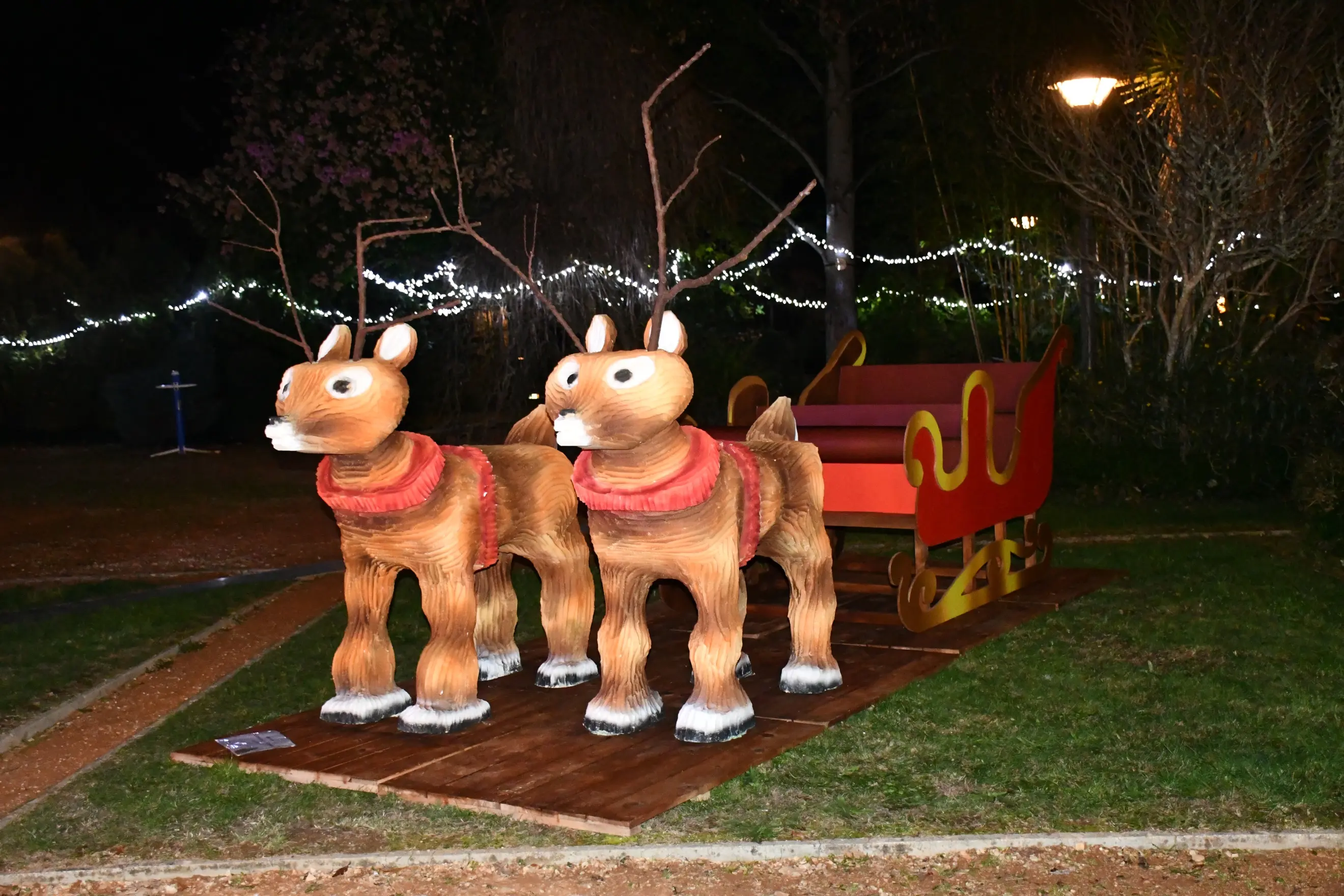 Natal Pedrogao 03 12
